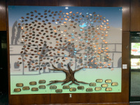 Donor Recognition Trees #116