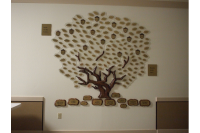 Donor Recognition Trees #35