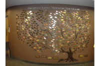 Donor Recognition Trees #42