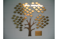 Donor Recognition Trees #82