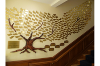 Donor Recognition Trees #83