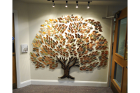 Donor Recognition Trees #14