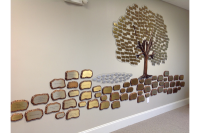 Donor Recognition Trees #13