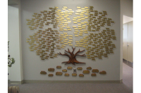 Donor Recognition Trees #26