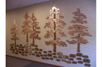 Donor Recognition Trees #8
