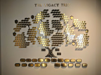legacy-tree-picture legacy-tree-picture