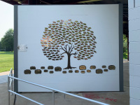 Donor Recognition Trees #27