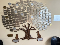 pasco-county-animal pasco-county-animal