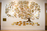 st-elizabeth st-elizabeth